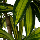 V3HBF3374D879C202D6FAF5FEBC93F4A993R5018314P4