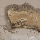 V3H05F755248333C09145DDBED181FA195FR5016583P3