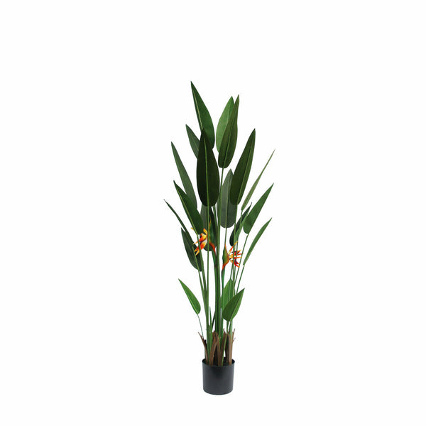 Dekorationspflanze 160 cm Orange grün Tropical