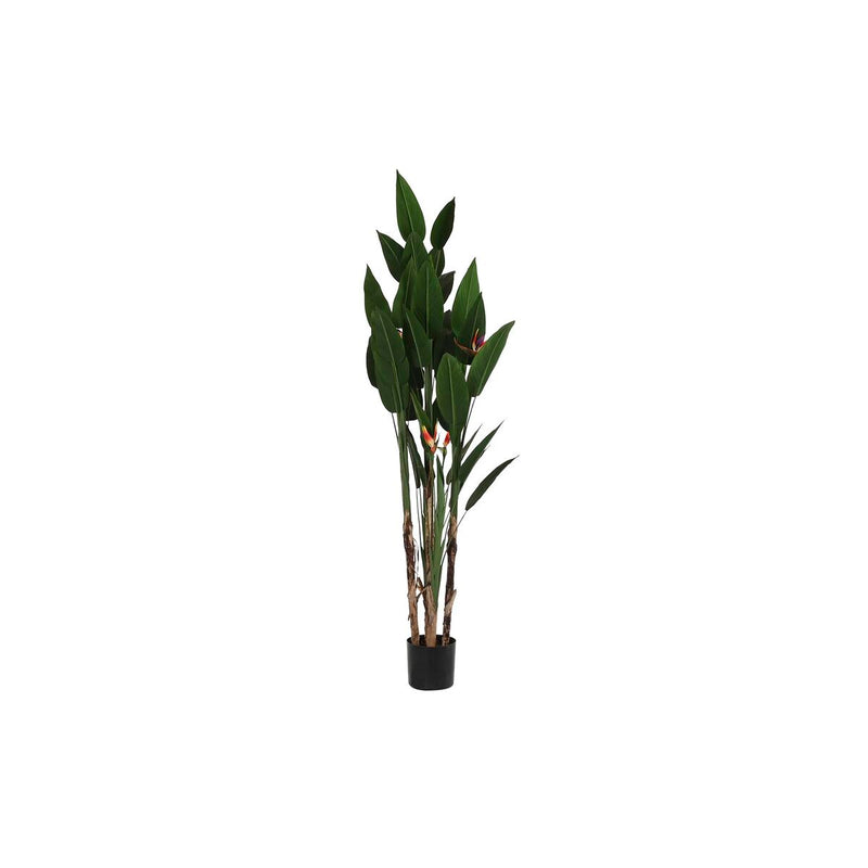 Dekopflanze Kunstpflanze (200 cm)