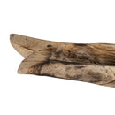 Dekoschale Fisch Beige 76cm